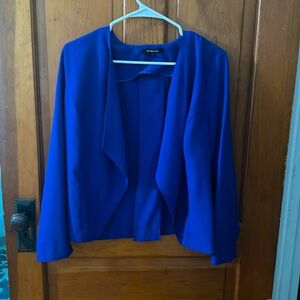 Blue Blazer